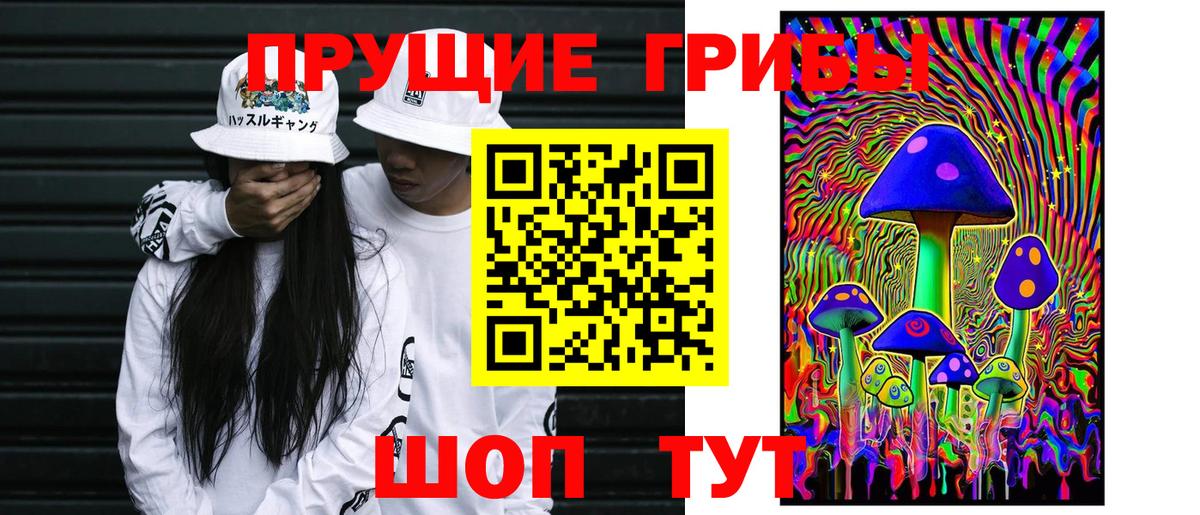 Сухой Лог  Псилоцибиновые грибы мухоморы  Вход с VPN 
